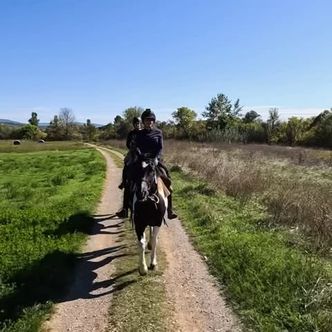 Croatian adventures 2024 #horseriding #adventure