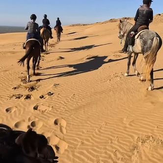 Memories of my first love of Essaouira - Nov 2023 …