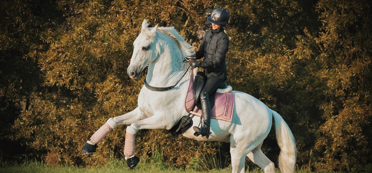 Photo from the Dressage in Provence ride.