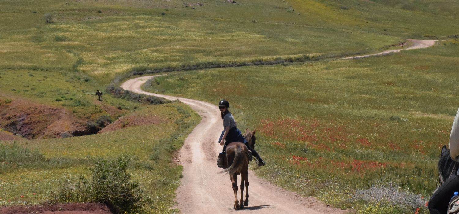 Luxury Agafay Riding Holiday In Morocco Far And Ride