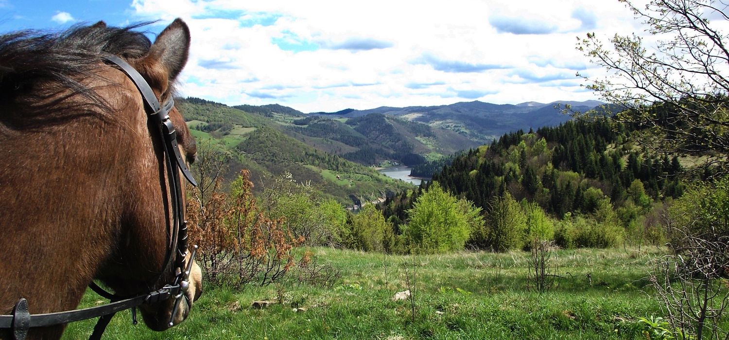 Photo from the Živa Farm ride.