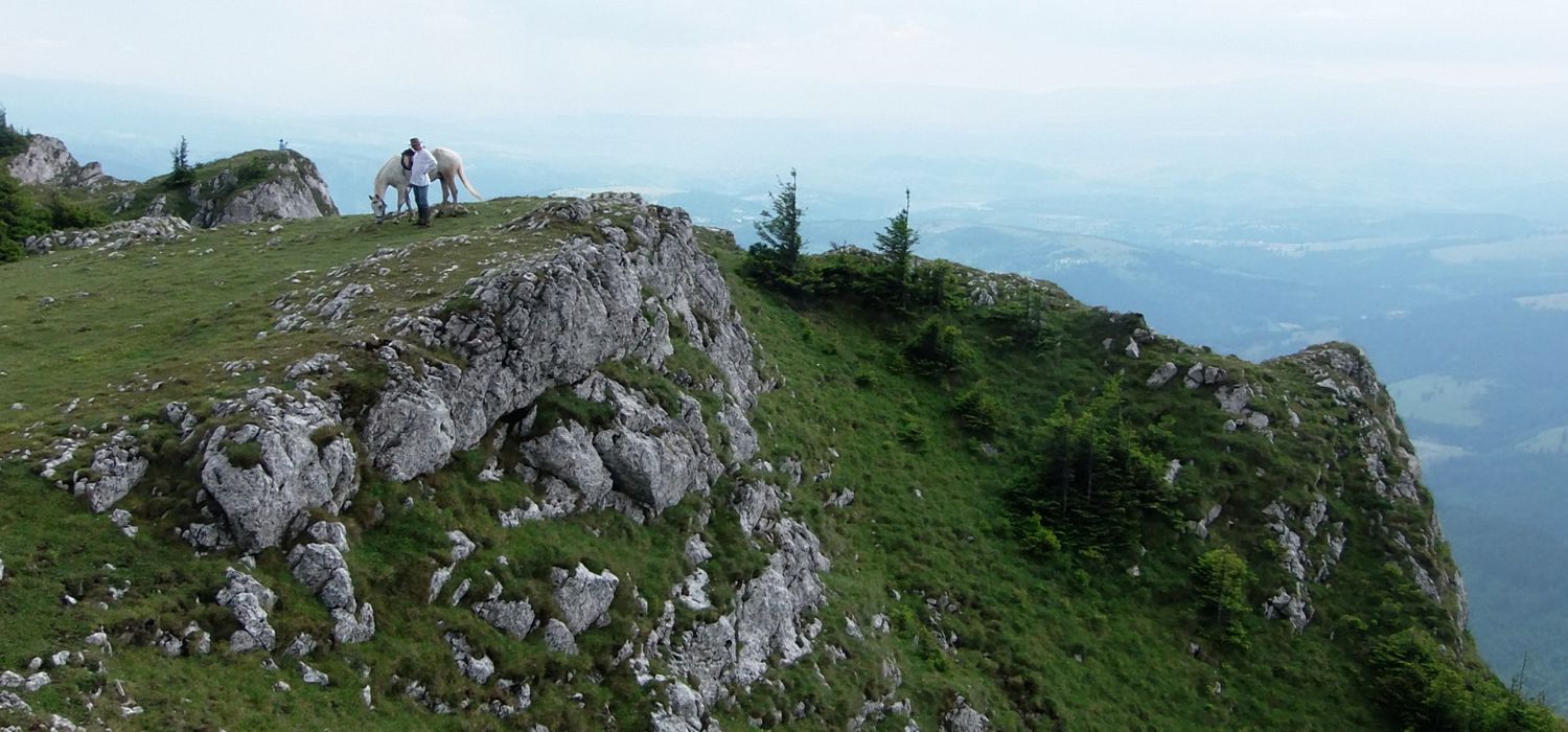 szekely-trails-riding-holiday-in-romania-far-and-ride