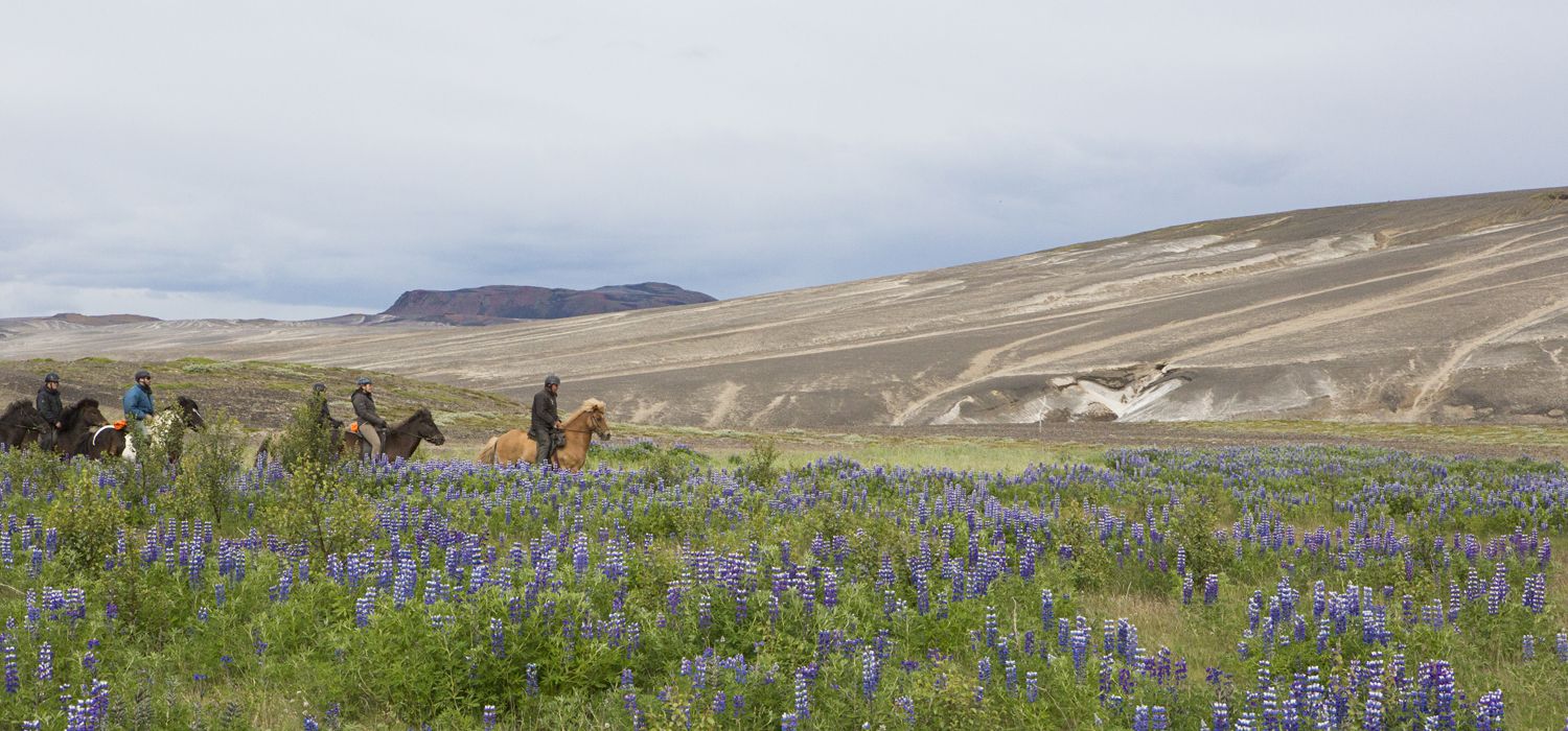 Photo from the Sprengisandur ride.