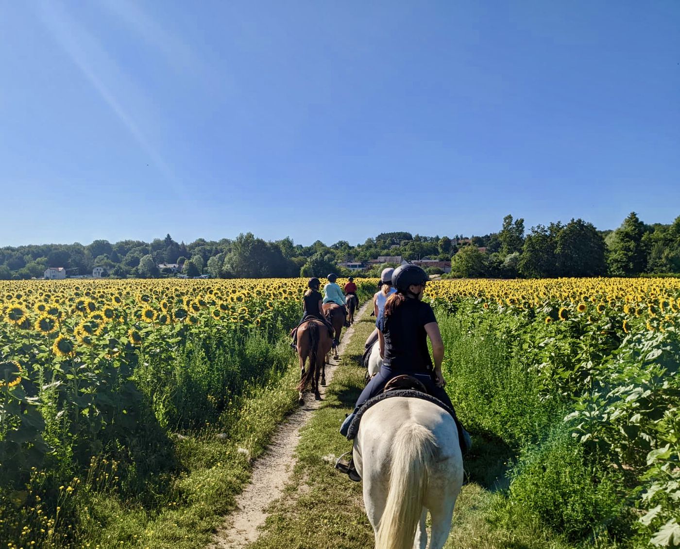 Loire Luxury Weekend itinerary.