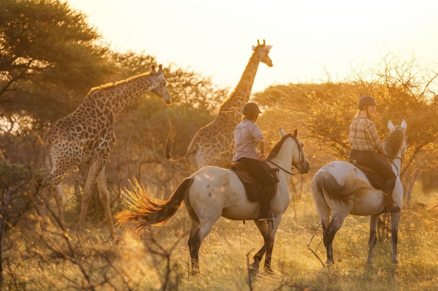 Mlilwane Ride (Centre Based) itinerary.