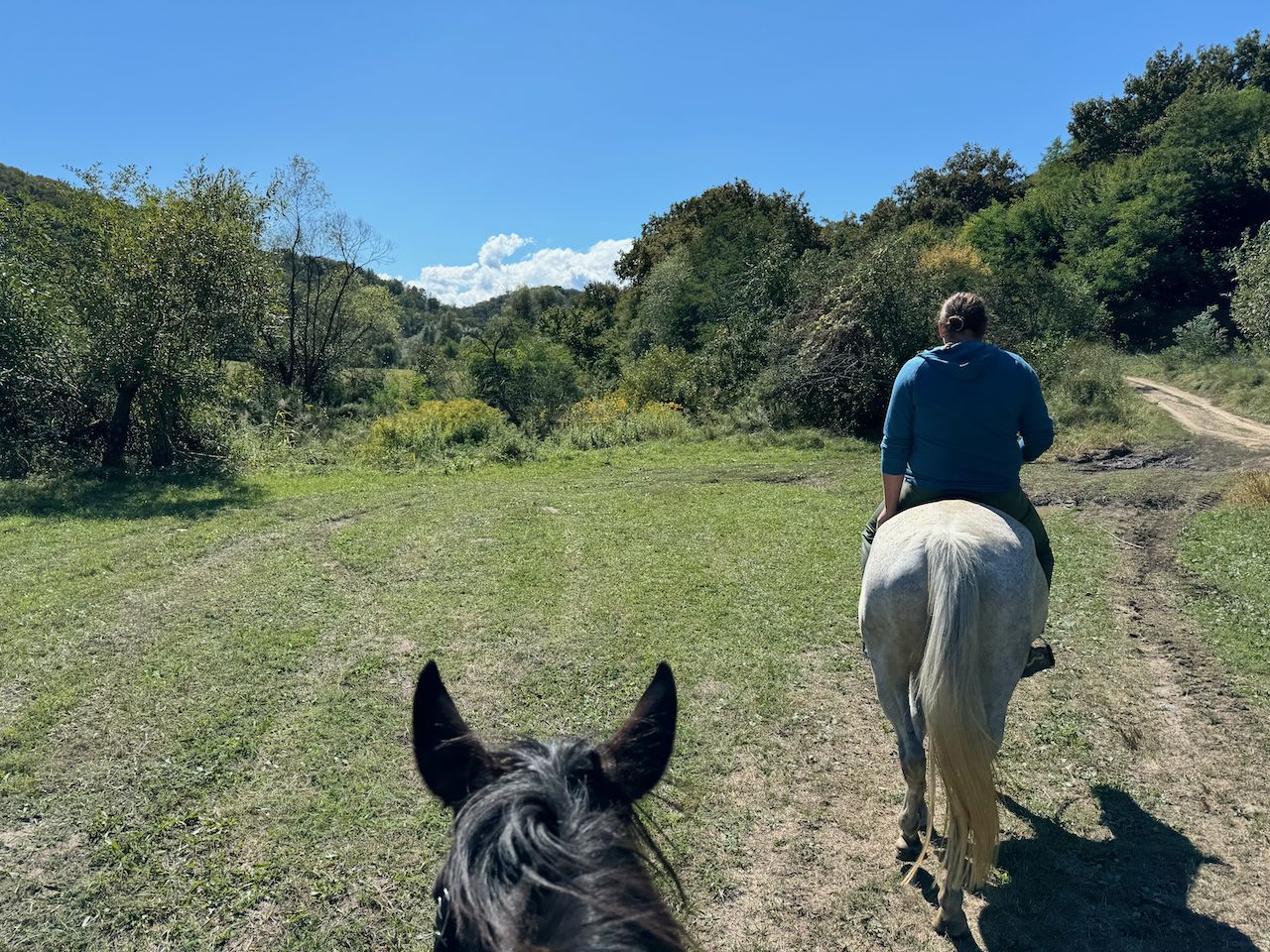 Sibiu to the Fǎgǎraș Mountains itinerary.