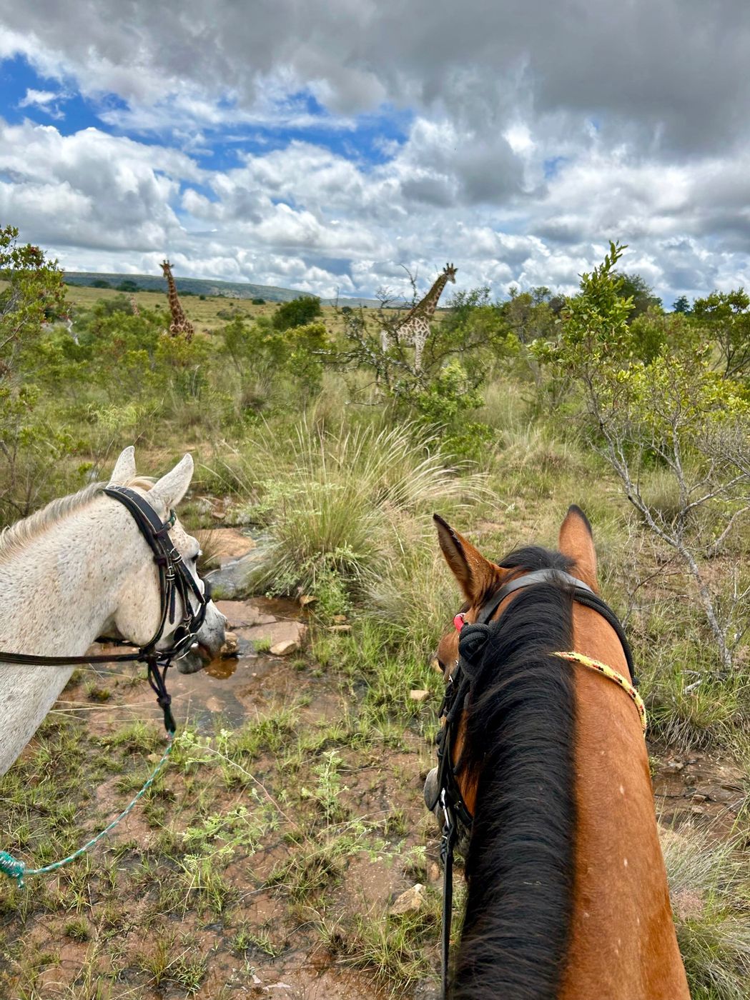 The Conservation Trail itinerary.