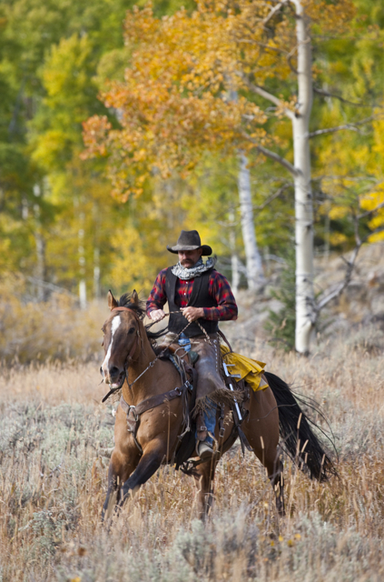 Photos of Wyoming Lodge and Working Guest Ranch horse ride in USA