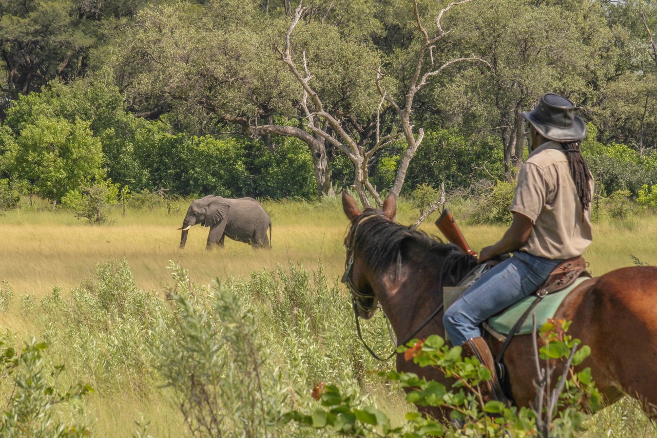 Horse riding holidays in Botswana (6 destinations) - Far and Ride