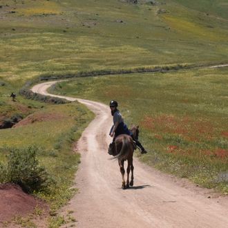 Photo from the Luxury Agafay ride