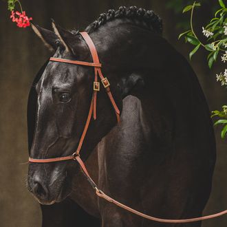 Photo from the French Dressage ride