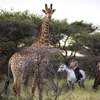 Photo from the Swazi Culture & Scenery ride