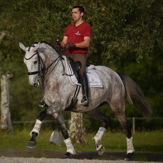 Photo from the North Portugal Dressage & Wine Estate ride