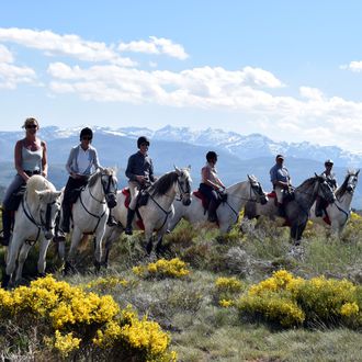 Trail Rides (107 destinations) - Far and Ride