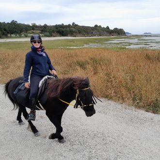 Photo from the Icelandics in Brittany ride