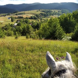 Photo from the Živa Farm ride