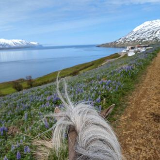 Photo from the Northern Iceland ride